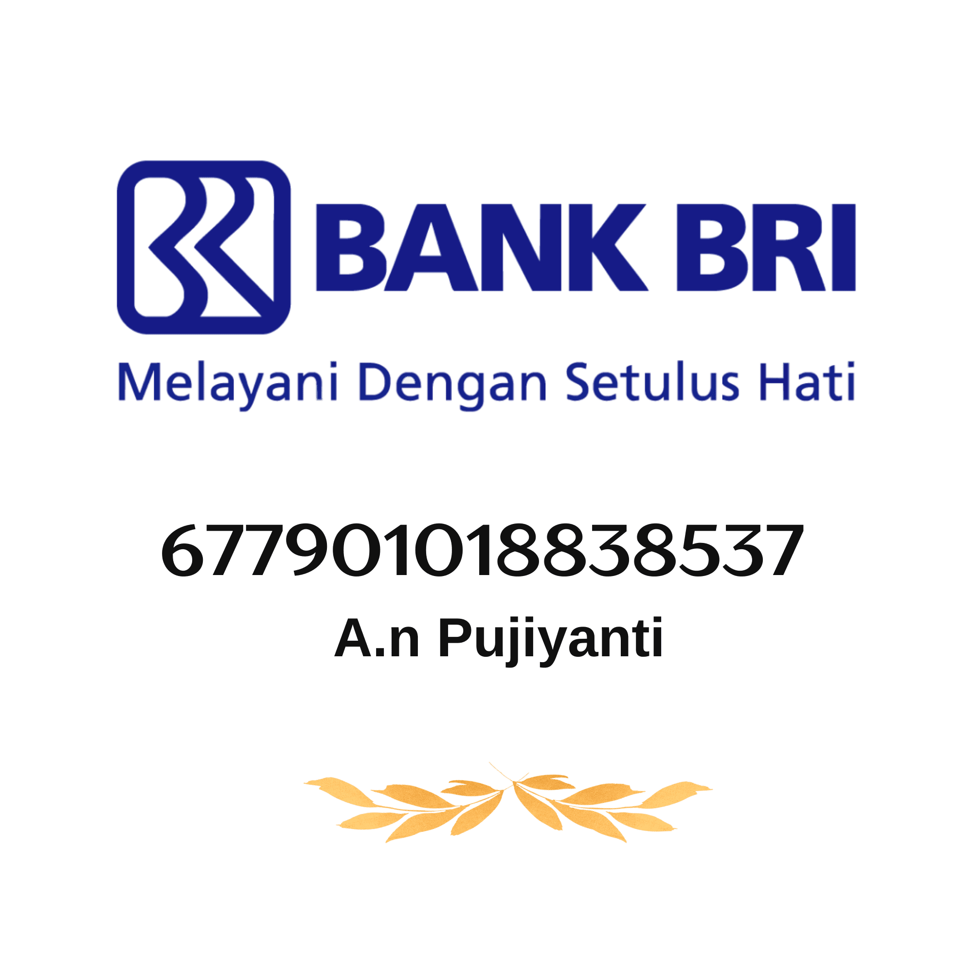 Bri 4119-01-009185-53-1(sudarno)