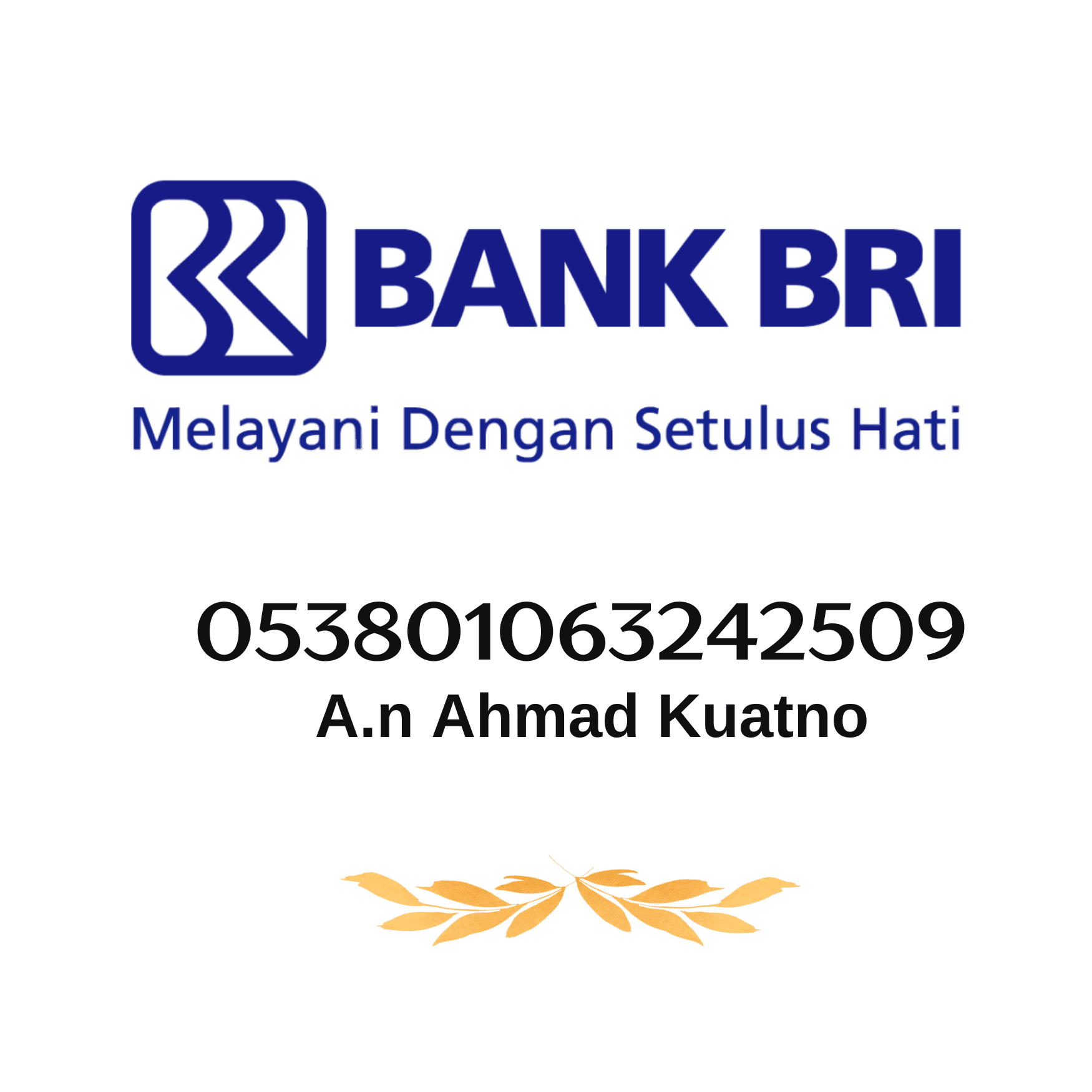Bri 4119-01-009185-53-1(sudarno)