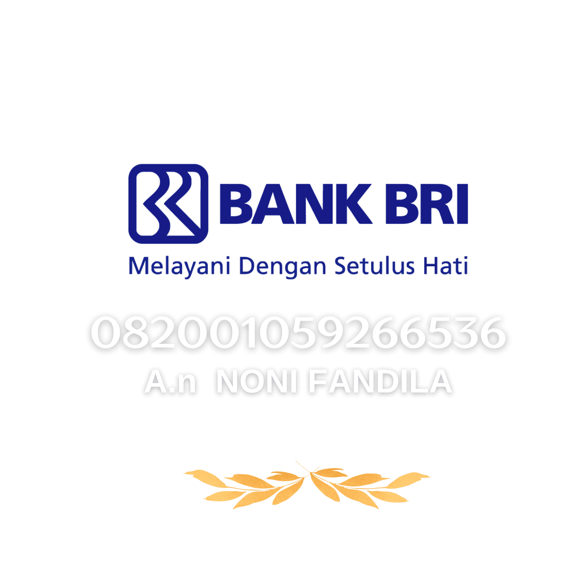 Bri 4119-01-009185-53-1(sudarno)