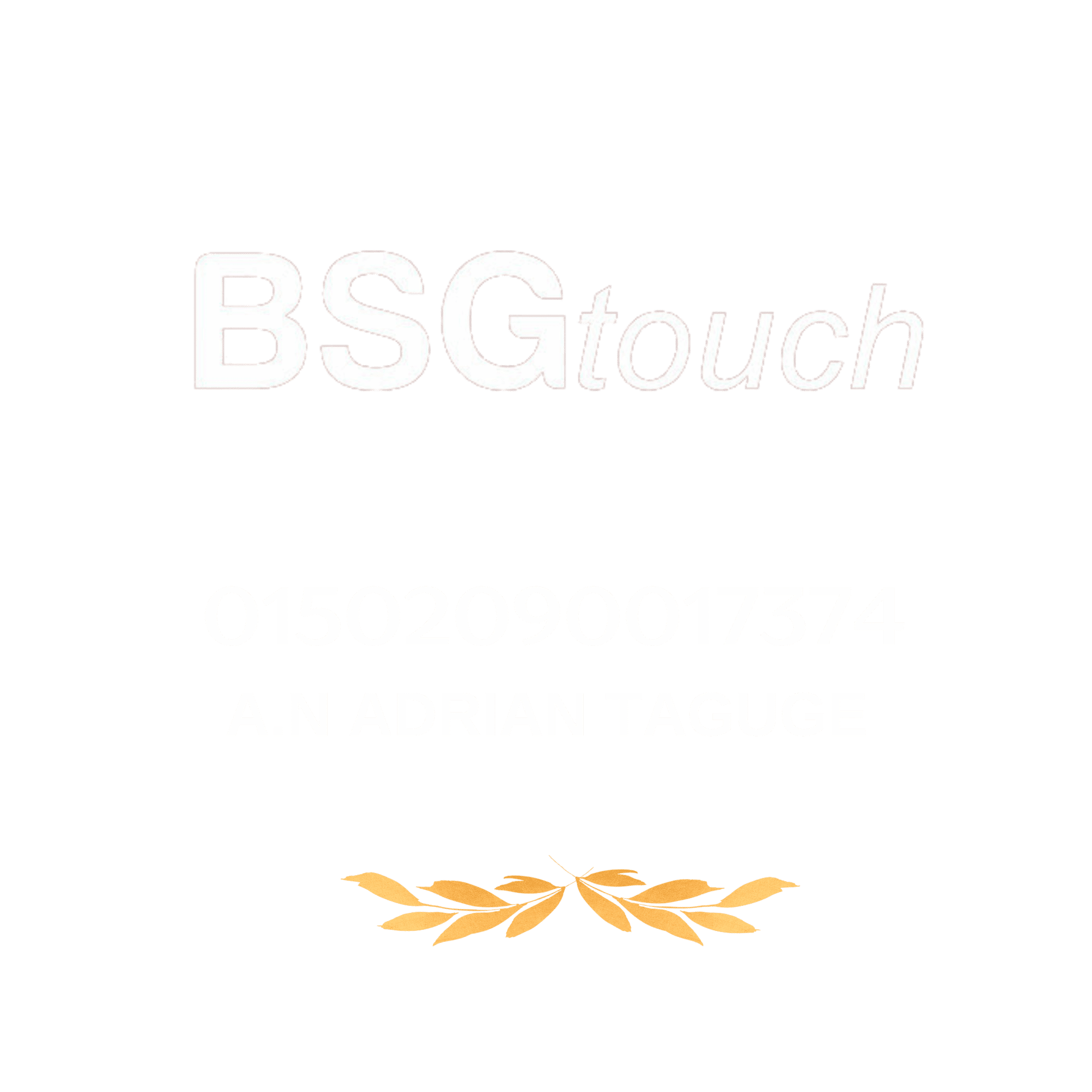 Bri 4119-01-009185-53-1(sudarno)