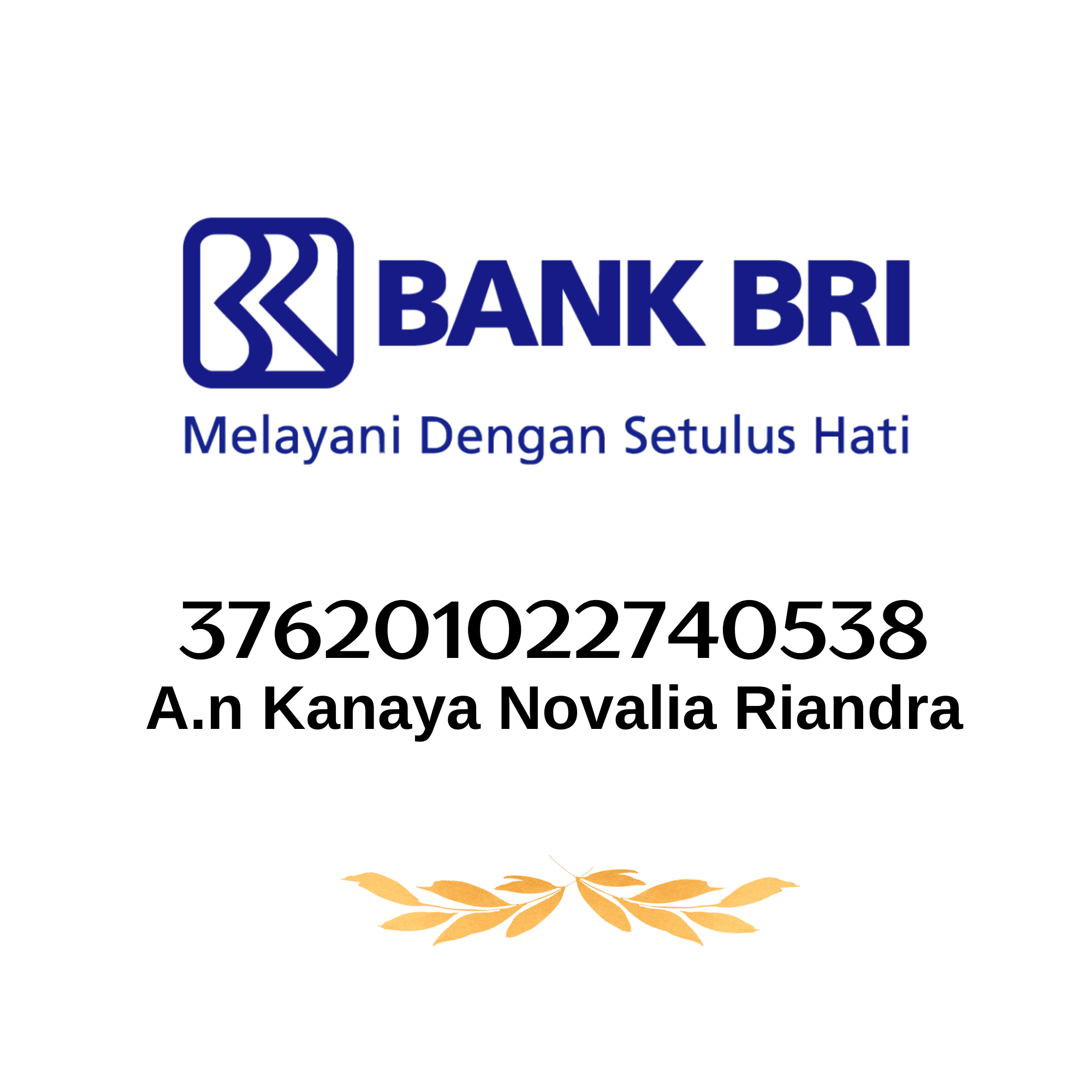 Bri 4119-01-009185-53-1(sudarno)
